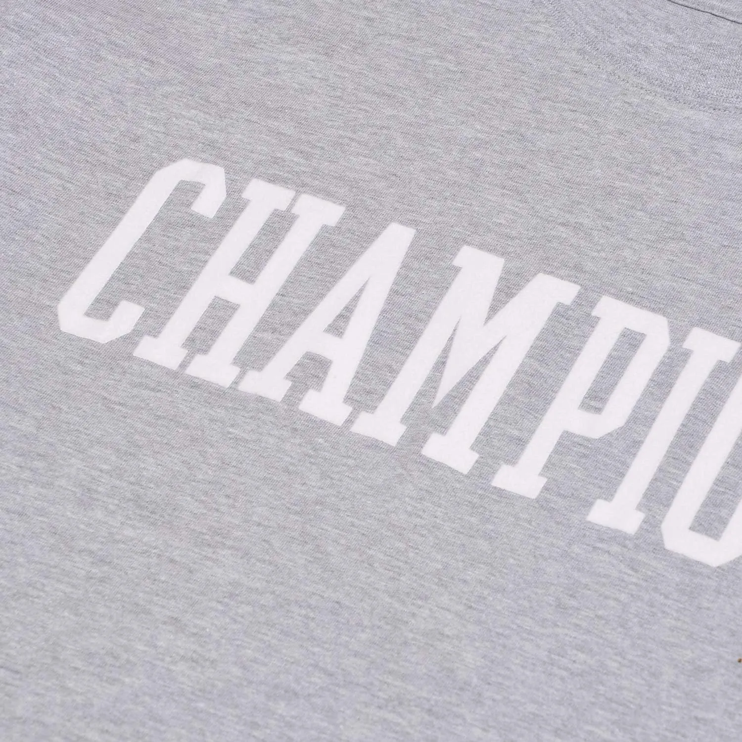 Champion Big and Tall T-Shirts for Men - Mens Short Sleeve Cotton Crewneck Tee